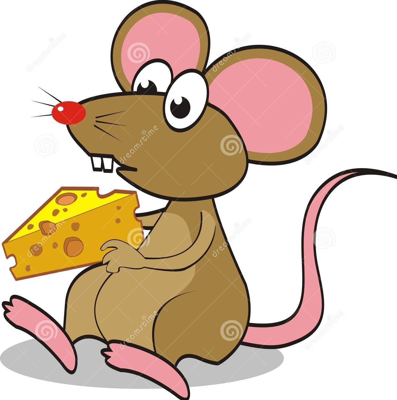 rato e queijo.jpg